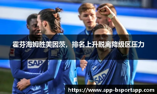 霍芬海姆胜美因茨,排名上升脱离降级区压力