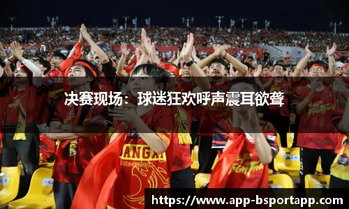 决赛现场:球迷狂欢呼声震耳欲聋